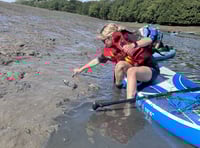 Yealm Estuary seagrass meadow trial from 'castaway' plants